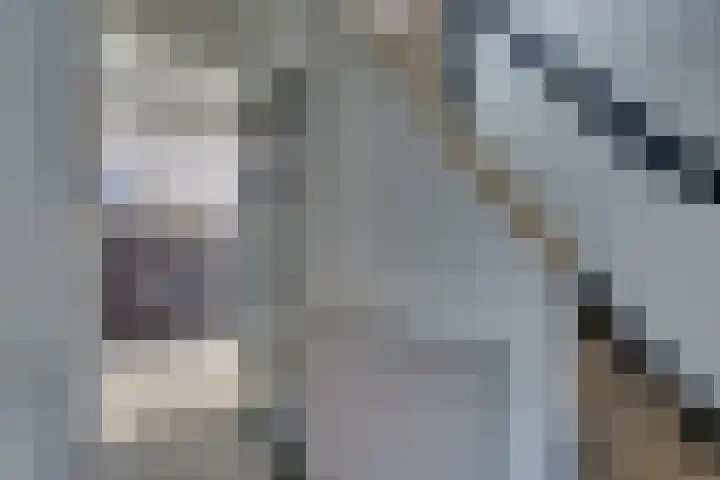 Snavel van Emekamp 5 Zwolle thumbnail 20