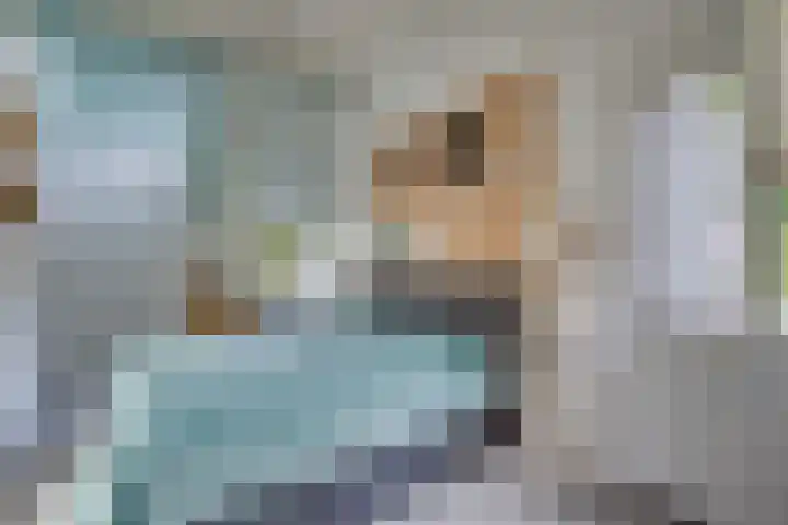 Snavel van Emekamp 5 Zwolle thumbnail 22