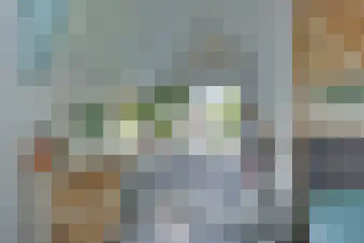 Snavel van Emekamp 5 Zwolle thumbnail 23