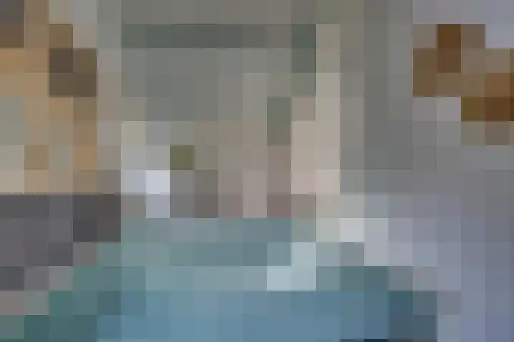 Snavel van Emekamp 5 Zwolle thumbnail 24