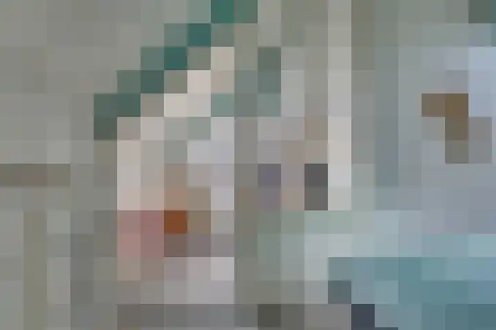 Snavel van Emekamp 5 Zwolle thumbnail 25