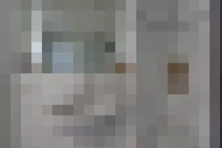 Snavel van Emekamp 5 Zwolle thumbnail 27