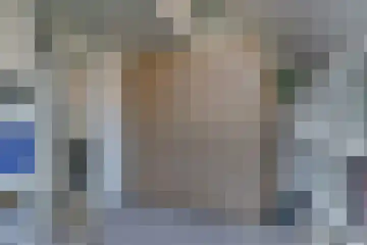 Snavel van Emekamp 5 Zwolle thumbnail 29