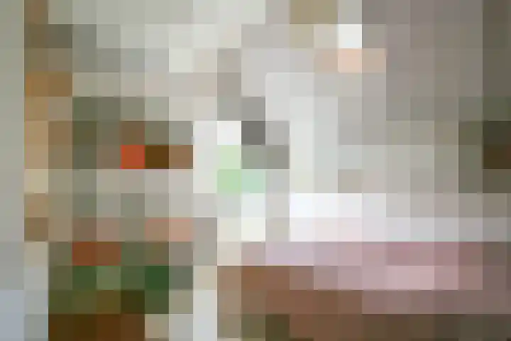 Snavel van Emekamp 5 Zwolle thumbnail 30