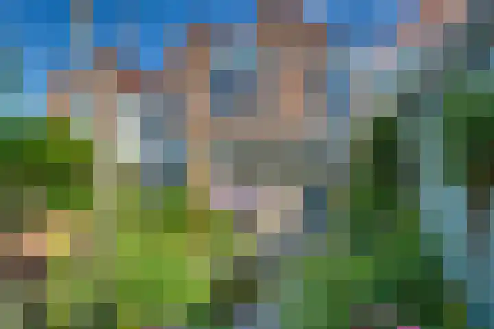 Snavel van Emekamp 5 Zwolle thumbnail 35