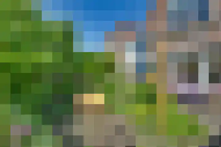 Snavel van Emekamp 5 Zwolle thumbnail 36