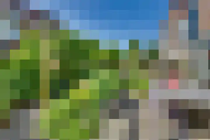 Snavel van Emekamp 5 Zwolle thumbnail 37