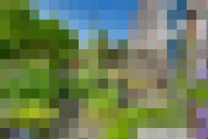 Snavel van Emekamp 5 Zwolle thumbnail 38
