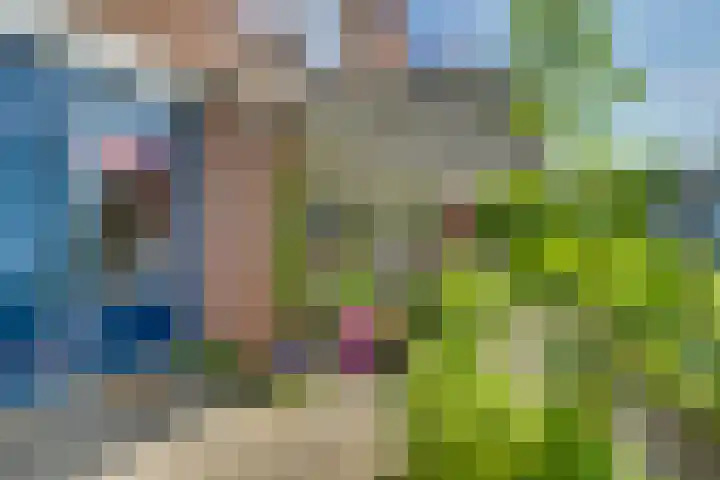 Snavel van Emekamp 5 Zwolle thumbnail 39
