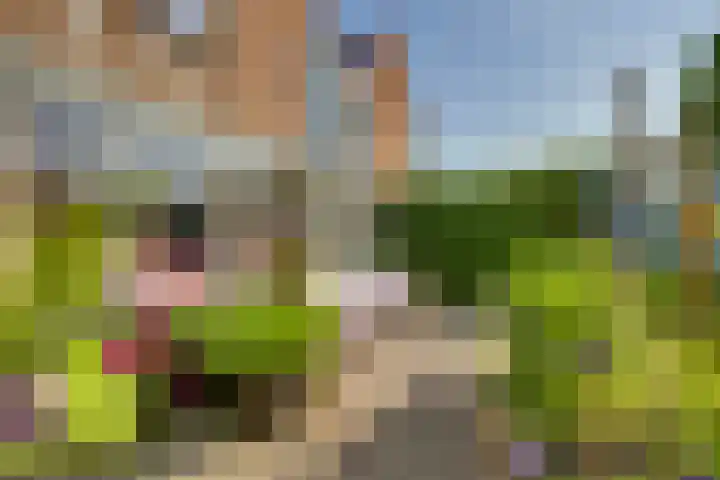 Snavel van Emekamp 5 Zwolle thumbnail 40