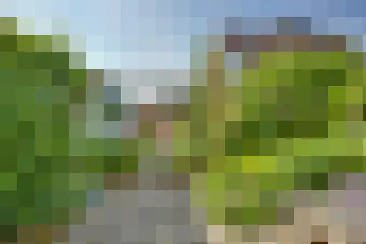 Snavel van Emekamp 5 Zwolle thumbnail 41