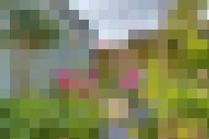 Snavel van Emekamp 5 Zwolle thumbnail 42