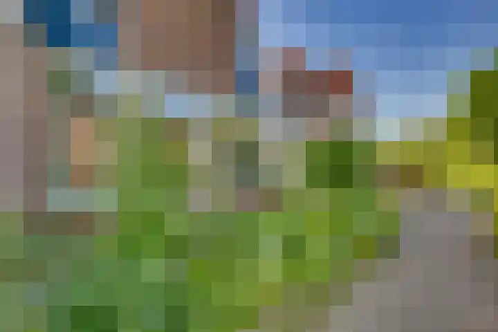 Snavel van Emekamp 5 Zwolle thumbnail 44
