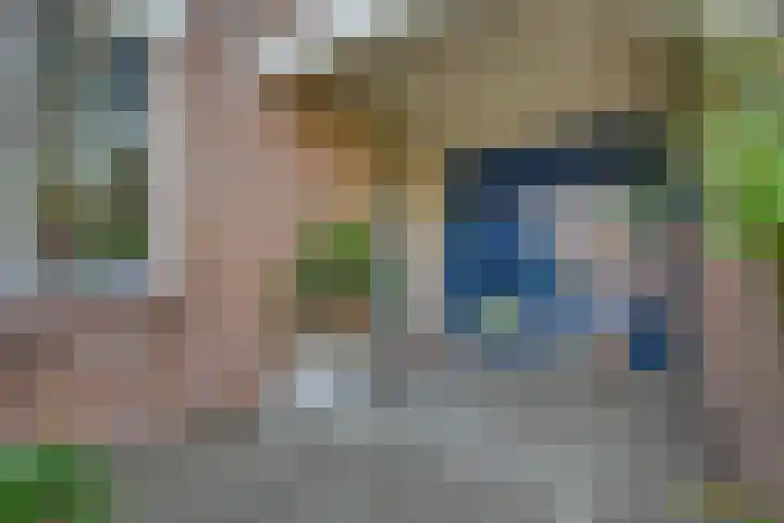 Snavel van Emekamp 5 Zwolle thumbnail 45