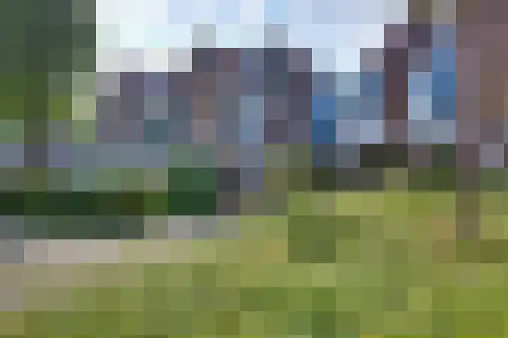 Snavel van Emekamp 5 Zwolle thumbnail 47