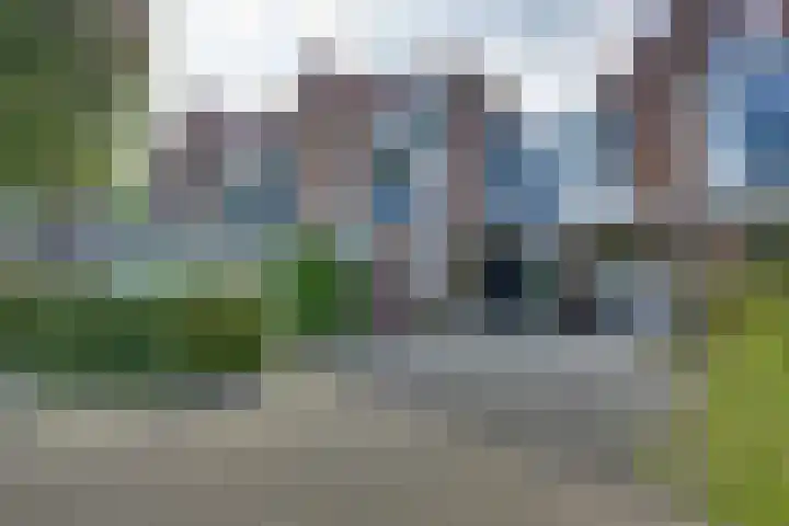 Snavel van Emekamp 5 Zwolle thumbnail 5