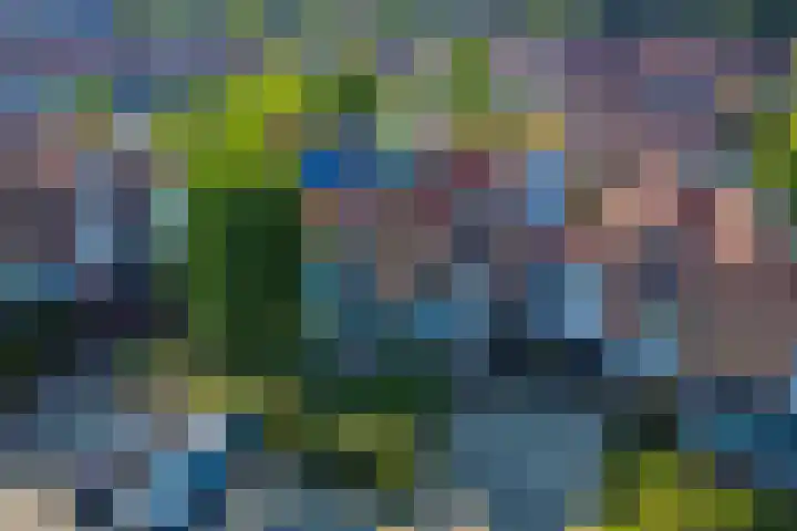 Snavel van Emekamp 5 Zwolle thumbnail 50