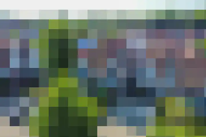 Snavel van Emekamp 5 Zwolle thumbnail 51