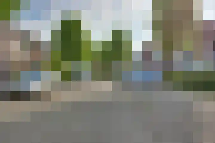 Snavel van Emekamp 5 Zwolle thumbnail 52