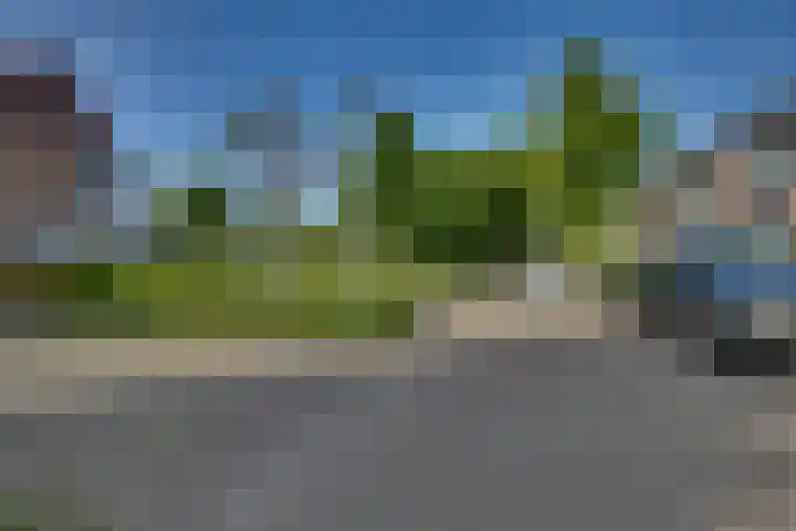 Snavel van Emekamp 5 Zwolle thumbnail 53