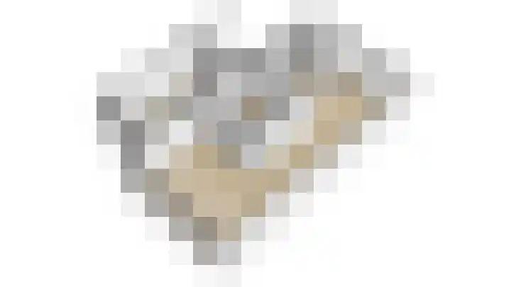 Snavel van Emekamp 5 Zwolle thumbnail 58