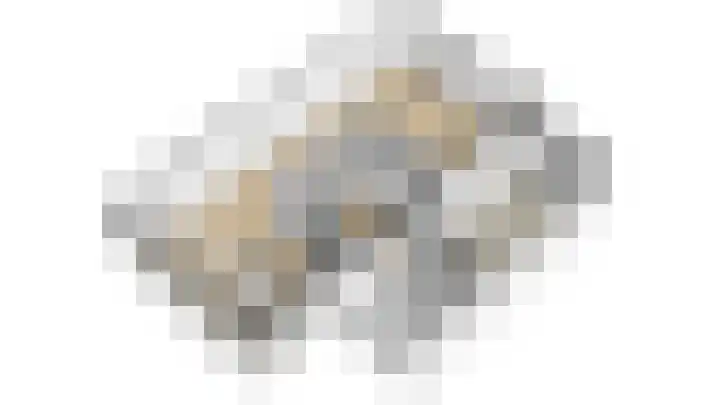 Snavel van Emekamp 5 Zwolle thumbnail 59