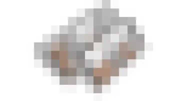 Snavel van Emekamp 5 Zwolle thumbnail 60