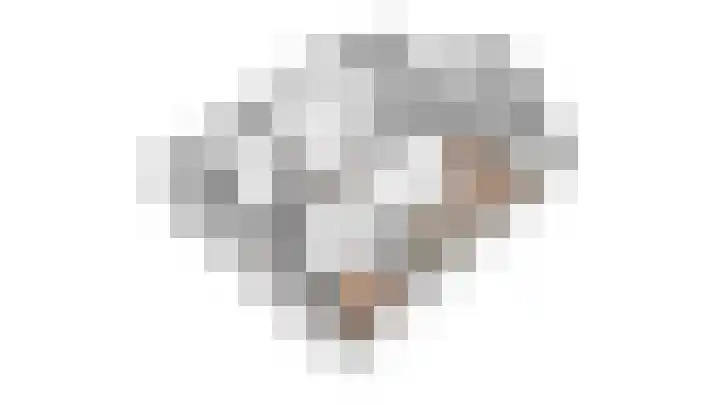 Snavel van Emekamp 5 Zwolle thumbnail 61