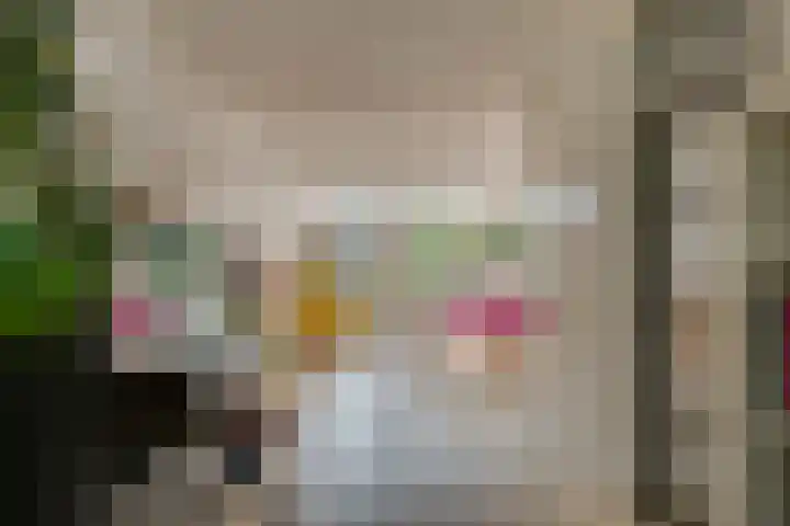 Snavel van Emekamp 5 Zwolle thumbnail 7