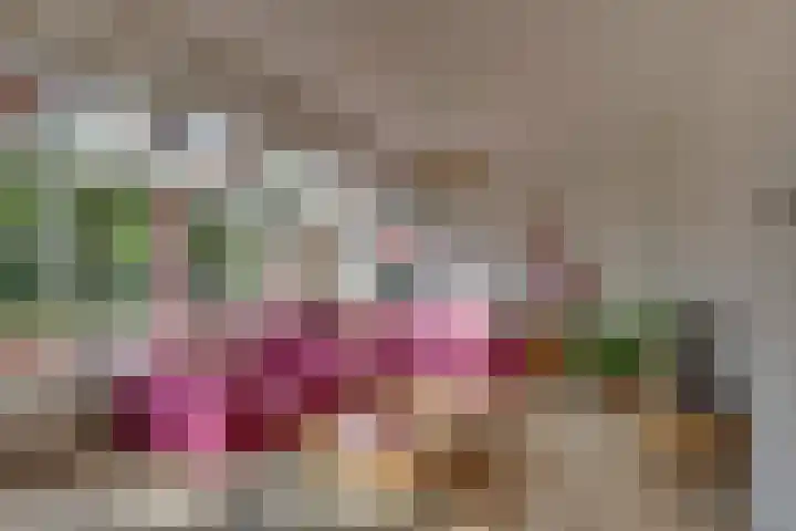Snavel van Emekamp 5 Zwolle thumbnail 9