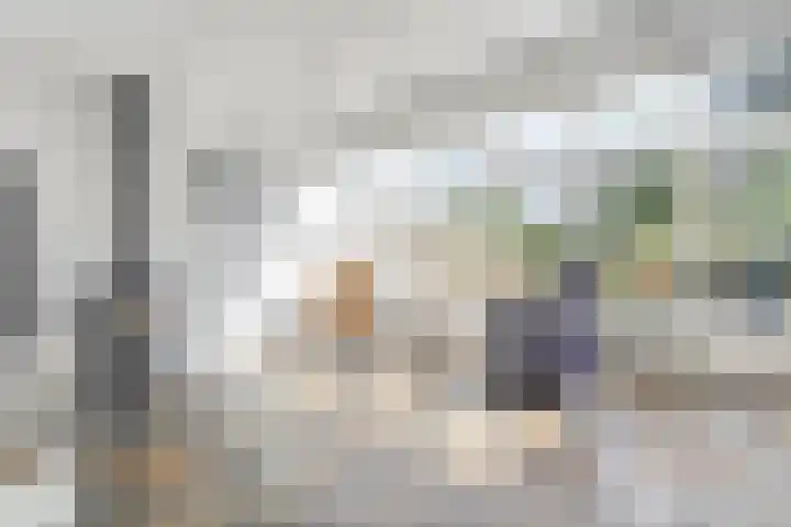 Snavel van Emekamp 72 Zwolle thumbnail 12