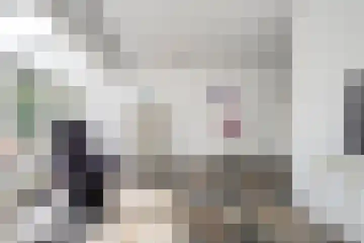 Snavel van Emekamp 72 Zwolle thumbnail 13