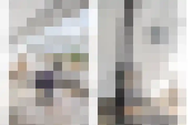 Snavel van Emekamp 72 Zwolle thumbnail 14