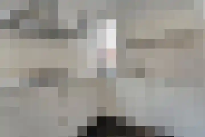 Snavel van Emekamp 72 Zwolle thumbnail 16