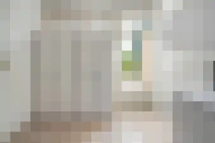 Snavel van Emekamp 72 Zwolle thumbnail 17