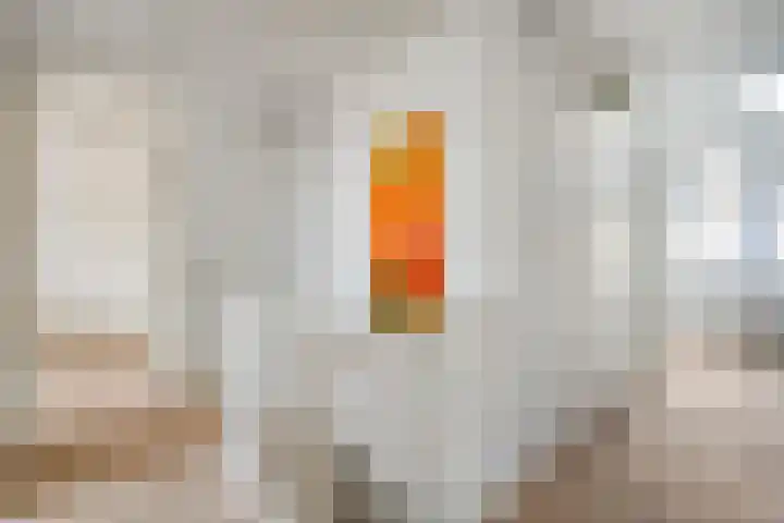 Snavel van Emekamp 72 Zwolle thumbnail 19