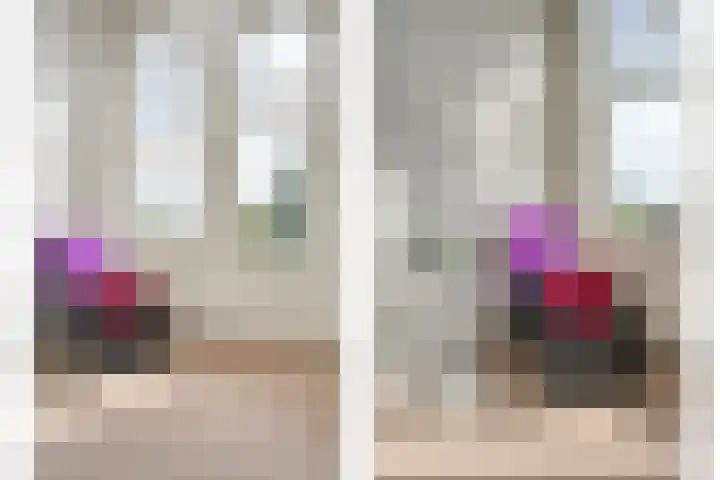 Snavel van Emekamp 72 Zwolle thumbnail 20