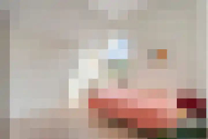 Snavel van Emekamp 72 Zwolle thumbnail 22