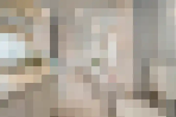 Snavel van Emekamp 72 Zwolle thumbnail 29