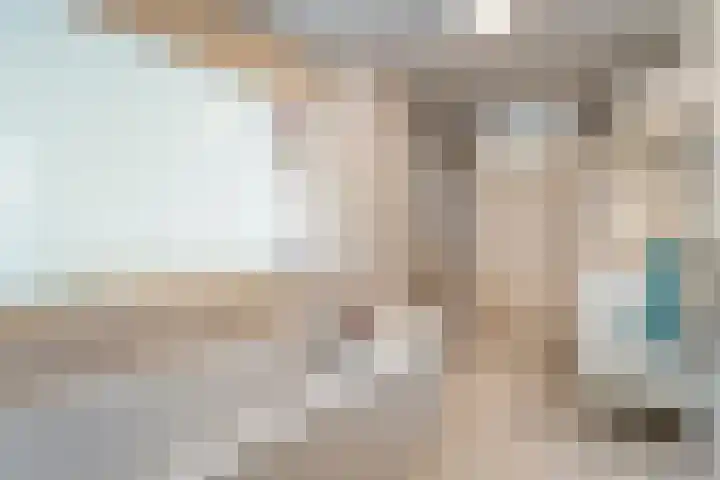 Snavel van Emekamp 72 Zwolle thumbnail 30