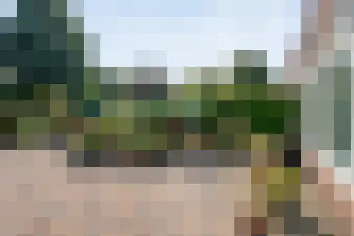 Snavel van Emekamp 72 Zwolle thumbnail 32