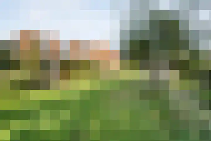 Snavel van Emekamp 72 Zwolle thumbnail 36