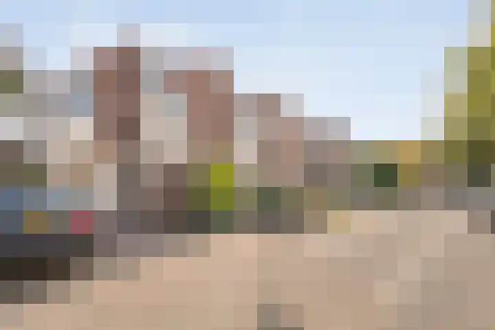 Snavel van Emekamp 72 Zwolle thumbnail 4