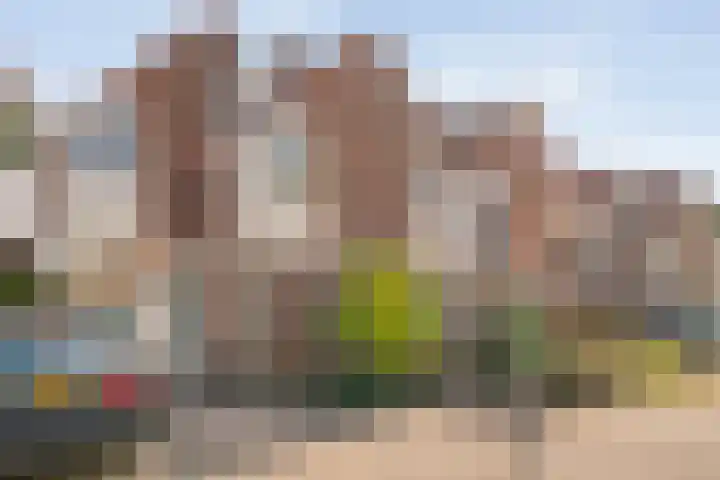 Snavel van Emekamp 72 Zwolle thumbnail 5