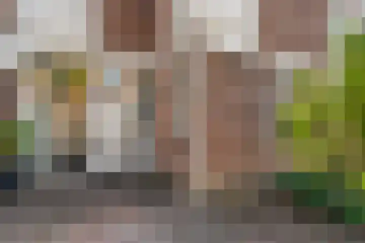 Snavel van Emekamp 72 Zwolle thumbnail 6