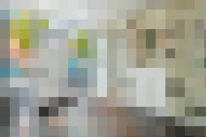 Snavel van Emekamp 72 Zwolle thumbnail 7