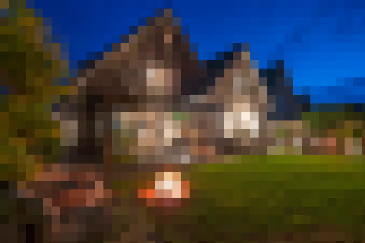 Snavelbies 11 Bovensmilde thumbnail 10