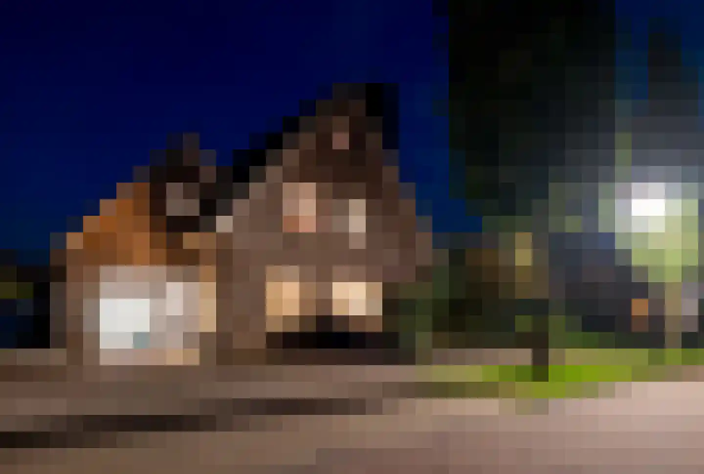 Snavelbies 11 Bovensmilde thumbnail 11