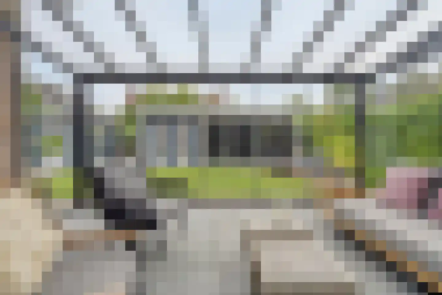 Snavelbies 11 Bovensmilde thumbnail 36