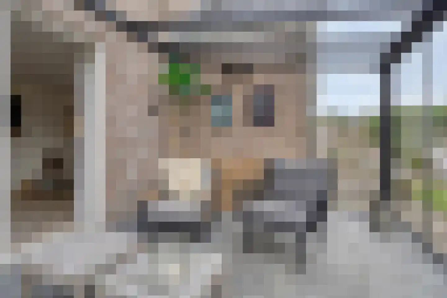 Snavelbies 11 Bovensmilde thumbnail 38